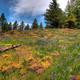 Image for article titled Shooting Challenge: HDR Gallery Part 3